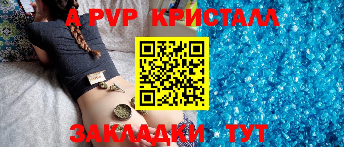 A PVP СК КРИС Пенза