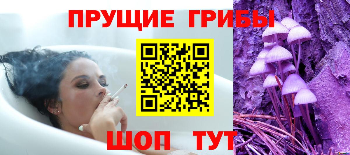 где купить наркоту  Псилоцибиновые грибы Cubensis  Вход с VPN  Пенза  Галлюциногенные грибы Cubensis 